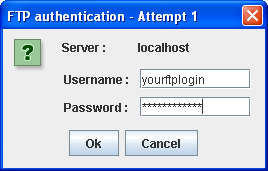 FTP authentication
